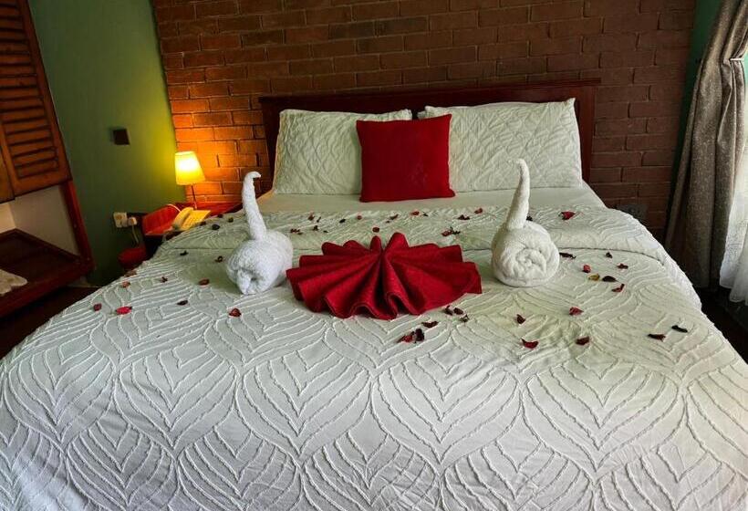 Vip Self Contained Single Room