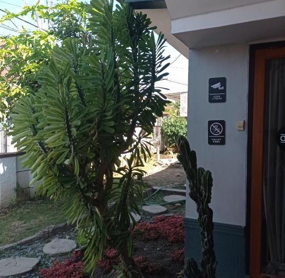 Zzz Hostel Ijen