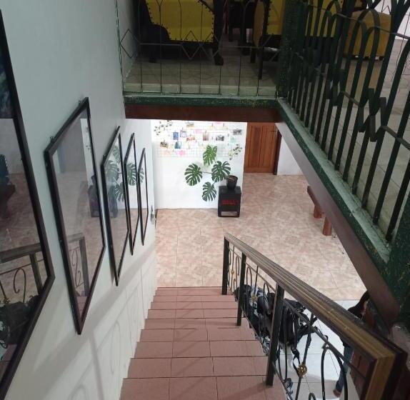 Zzz Hostel Ijen