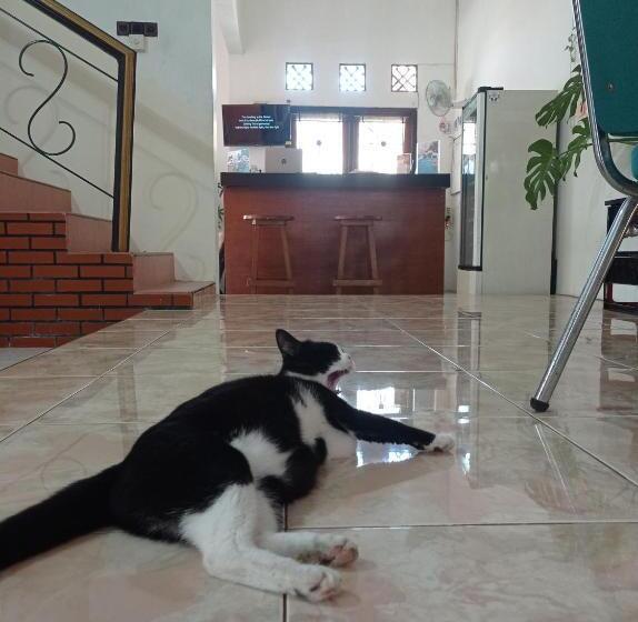 Zzz Hostel Ijen