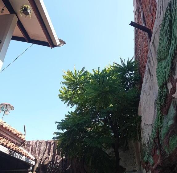 Zzz Hostel Ijen