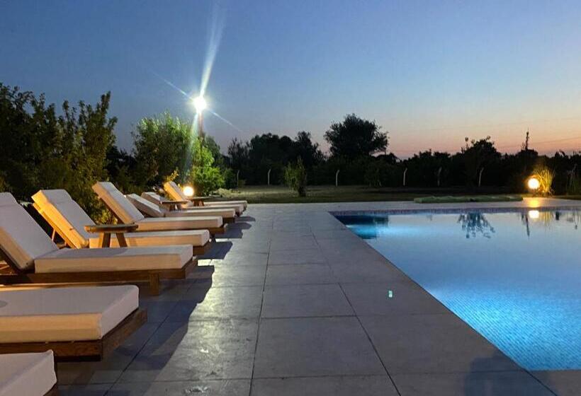 تختخواب و صبحانه Casa Mora Zeytinli