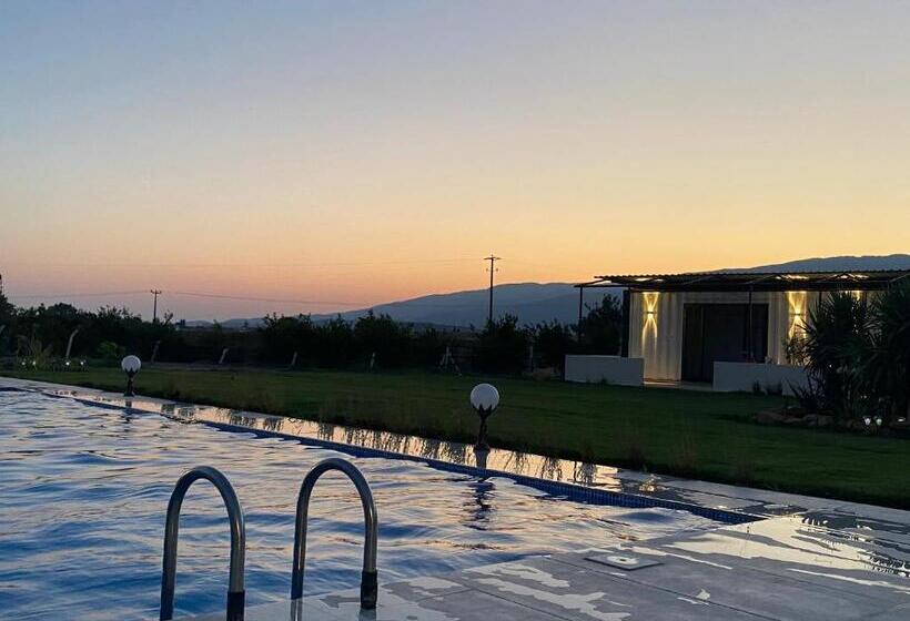 تختخواب و صبحانه Casa Mora Zeytinli