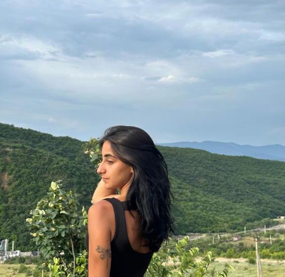 پانسیون Totoro