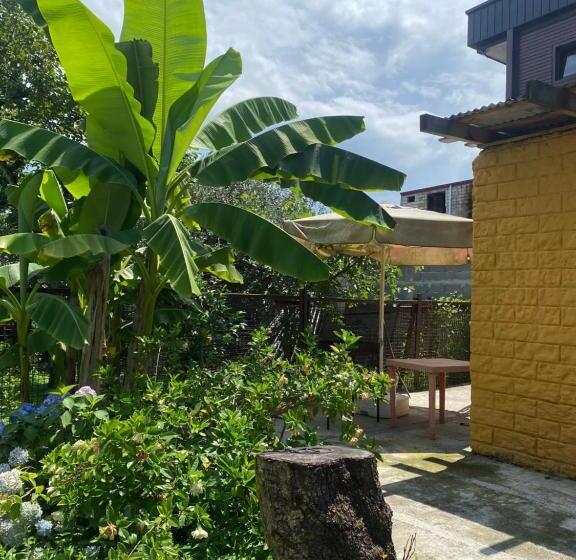 پانسیون Totoro