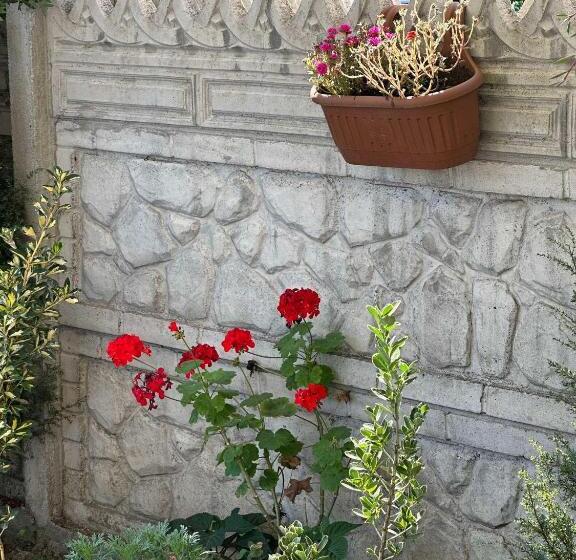 پانسیون Seaside Dream Inn Guest House