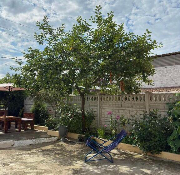 پانسیون Seaside Dream Inn Guest House