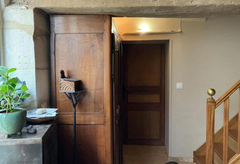 پانسیون Zotheca