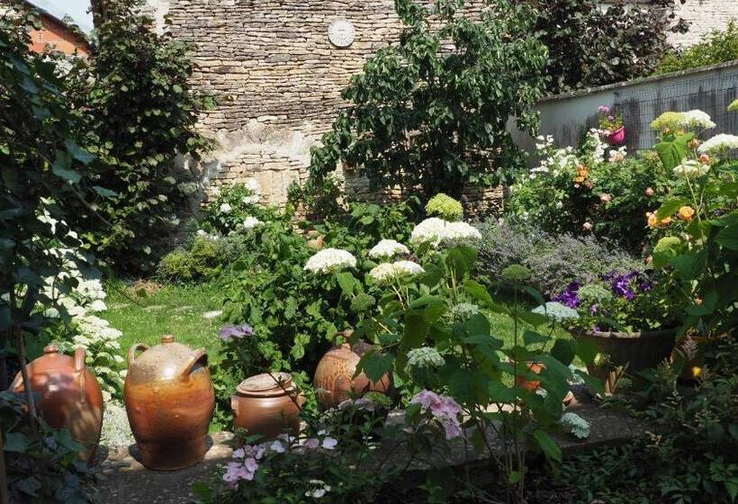 پانسیون Zotheca