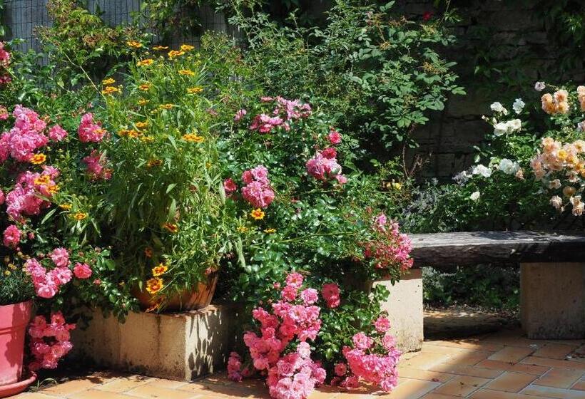 پانسیون Zotheca