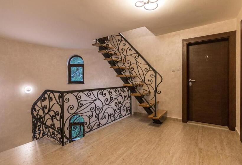 Vila Vujic Tara