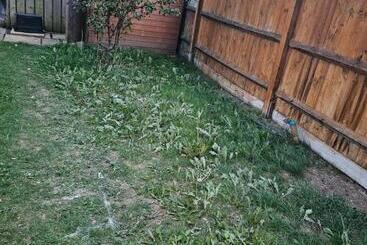 پانسیون Fabulous Guest House In Dartford
