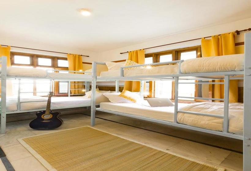 Общежитие Zostel Dalhousie