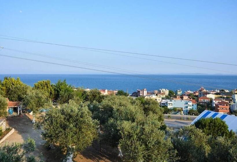 تختخواب و صبحانه Kaymak Tepesi Tatil Evi