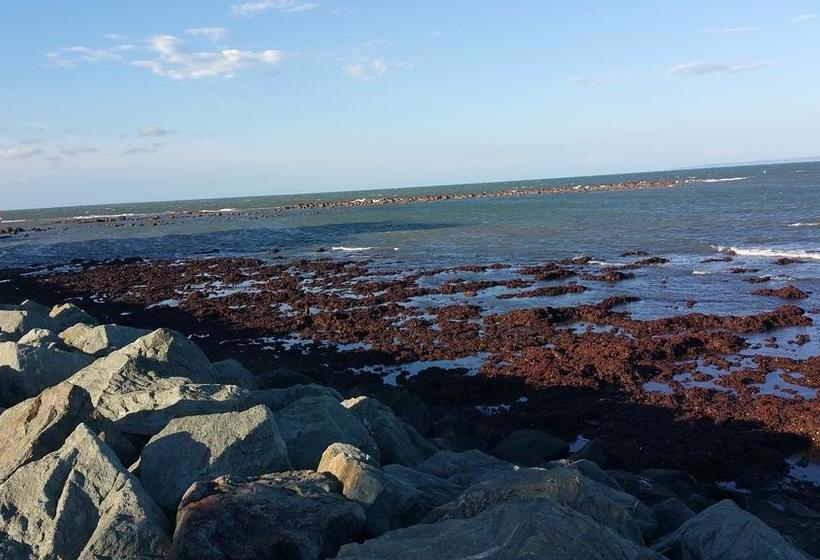 تختخواب و صبحانه No Key/card House