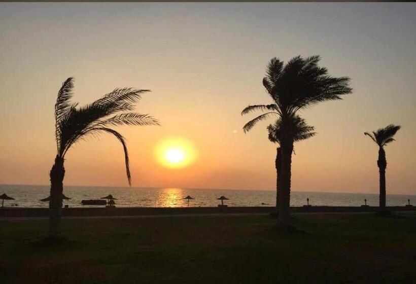 استيلا دمارى