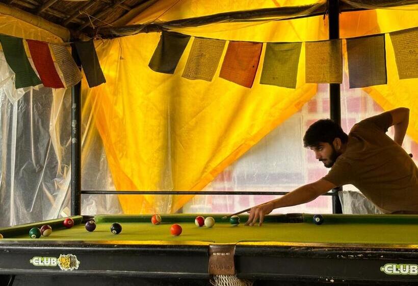 Mandala House   Party Hostel