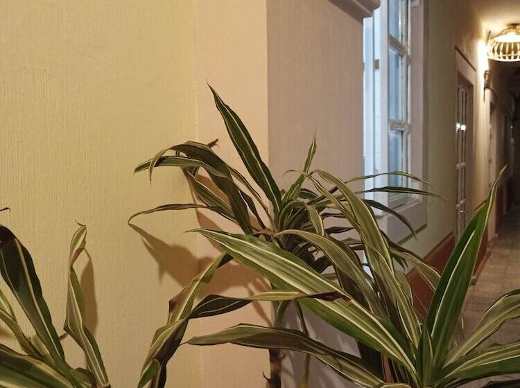 هتل Hostel Paricutín