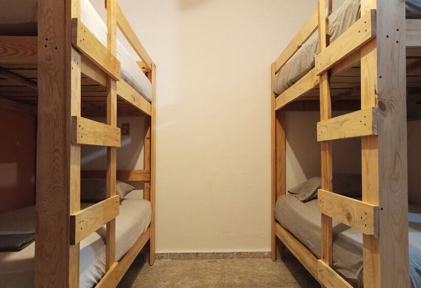 هتل Hostel Paricutín