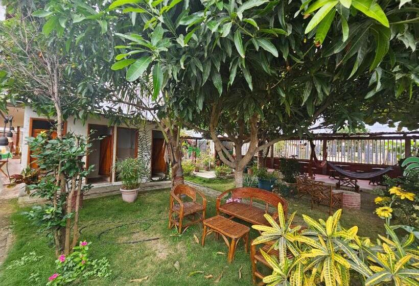 بنسيون Camping Hostel