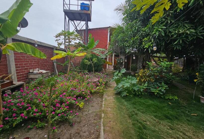 بنسيون Camping Hostel