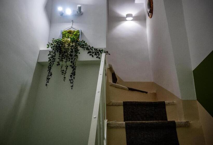 تختخواب و صبحانه Green House