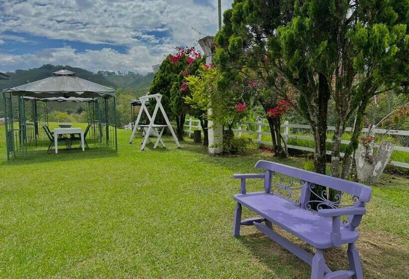 فندق Valle Los Amores