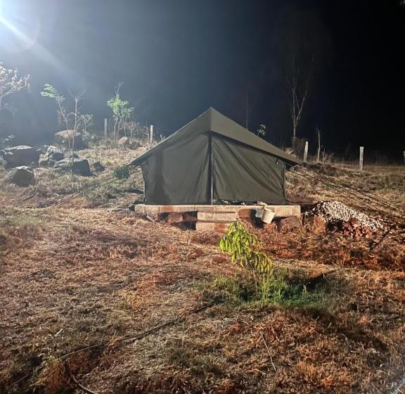 酒店 Wilderness Jungle Camp