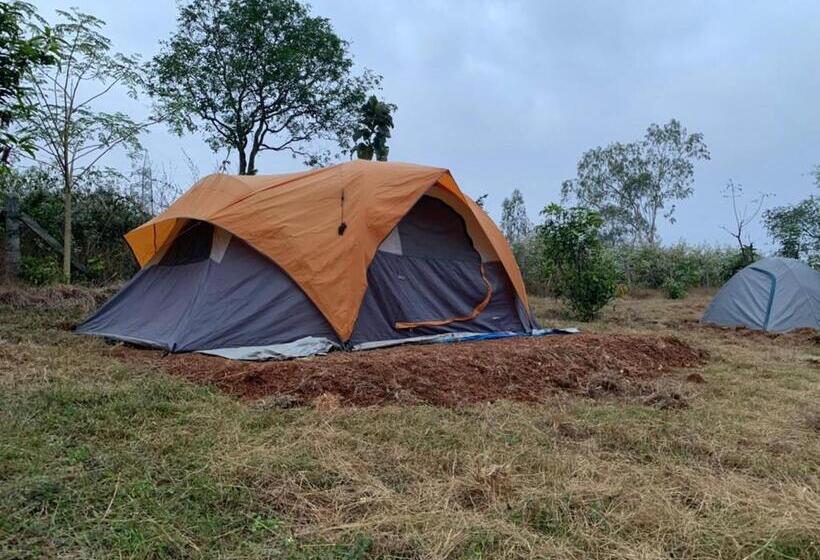酒店 Wilderness Jungle Camp