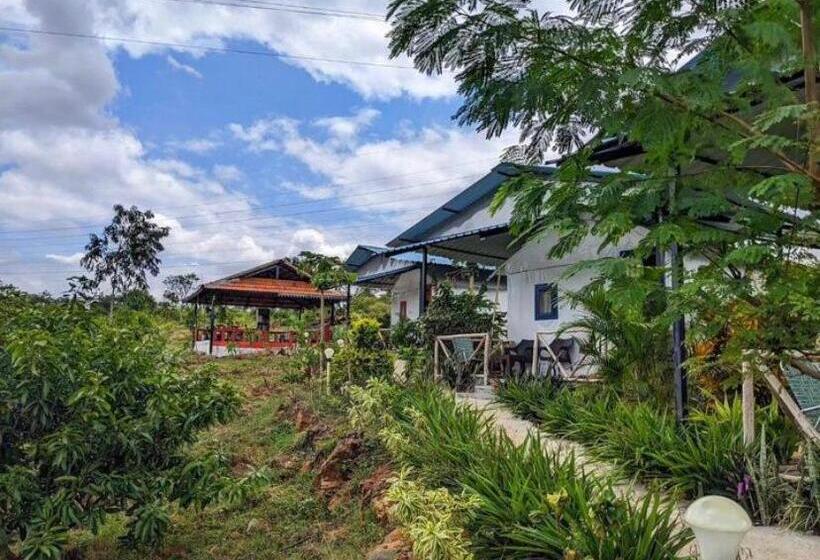 酒店 Wilderness Jungle Camp