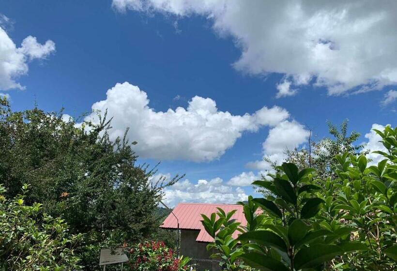 پانسیون Dc Farm House