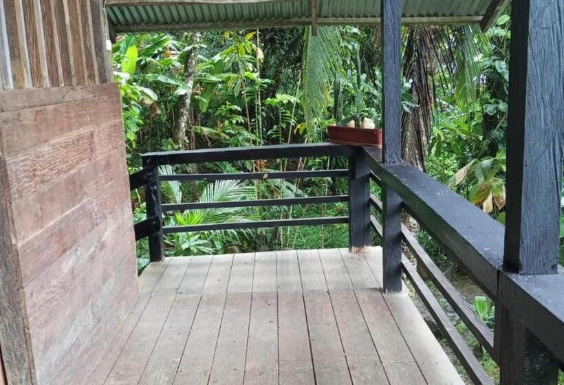 هاستل Posada Madre Tierra