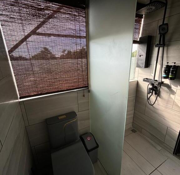فندق صغير Spa Shalom Suites