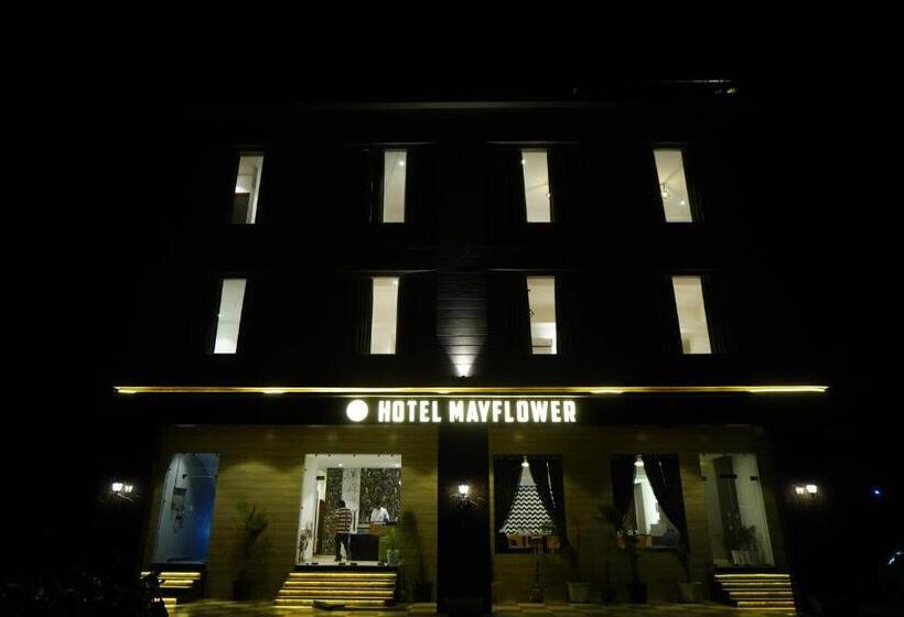 Отель Mayflower