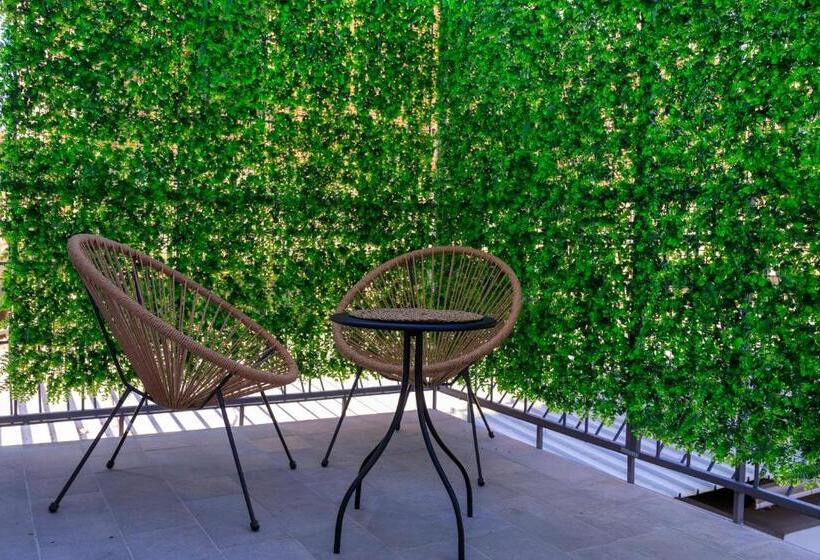 پانسیون Domus Vivian