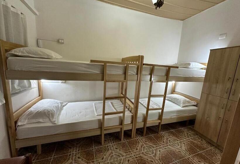 Tirana Lemon Breeze Hostel
