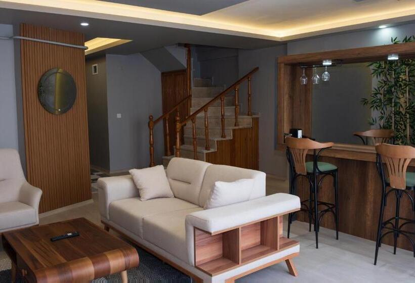 Barakat Otelci̇li̇k Diş Ti̇caret Limited şirketi