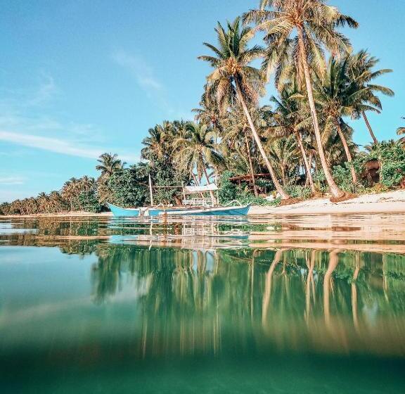 هاستل Shakabrah S Beachfront Dorm