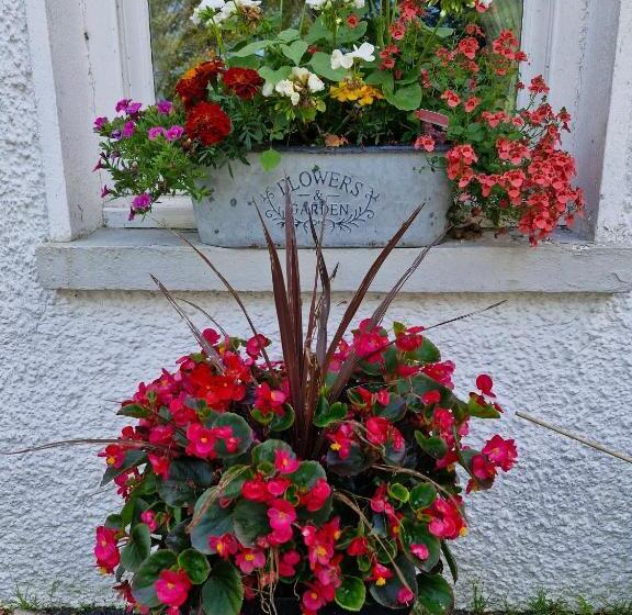 민박 Drumee Lodge Boutique B And B, Newcastle, County Down