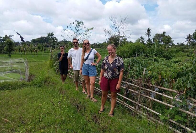 تختخواب و صبحانه Village House Lombok