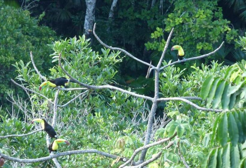 پانسیون Hostal La Gran Ceci