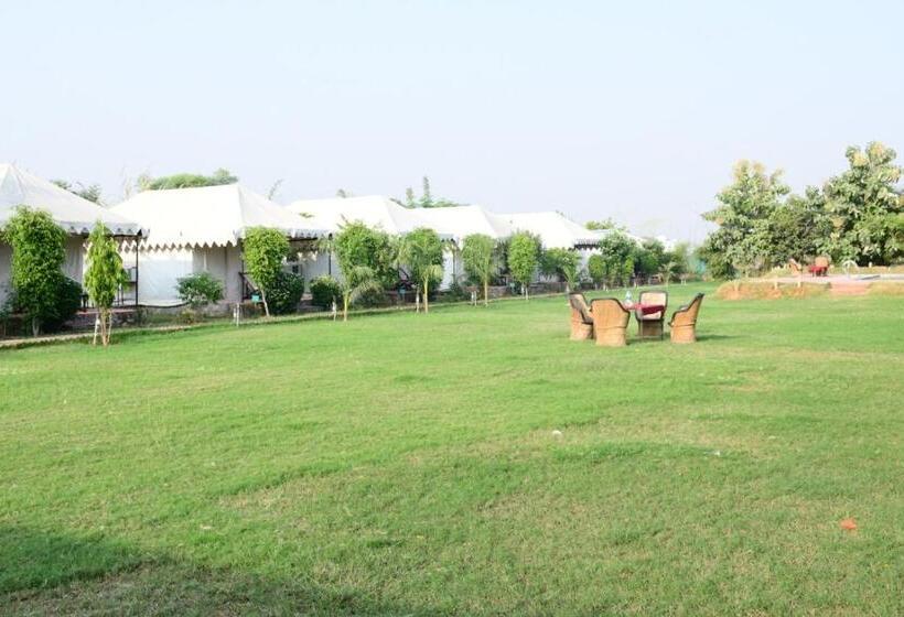 منتجع Jungle Enclave   Ranthambore