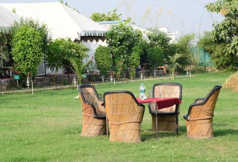 منتجع Jungle Enclave   Ranthambore