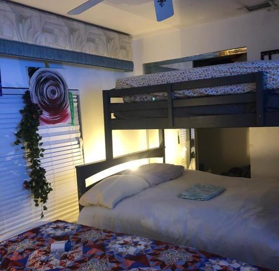 هاستل Cozy Moses