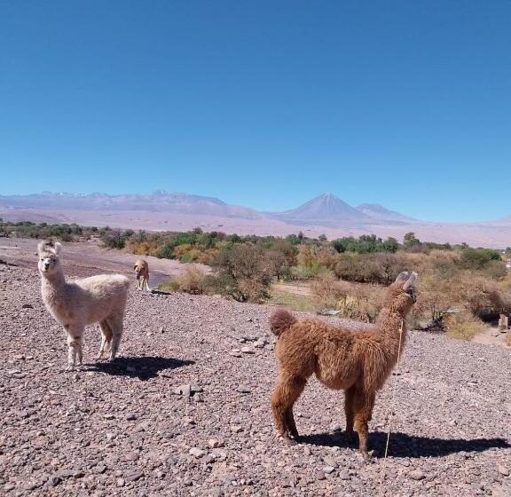 هاستل Estancia Luza