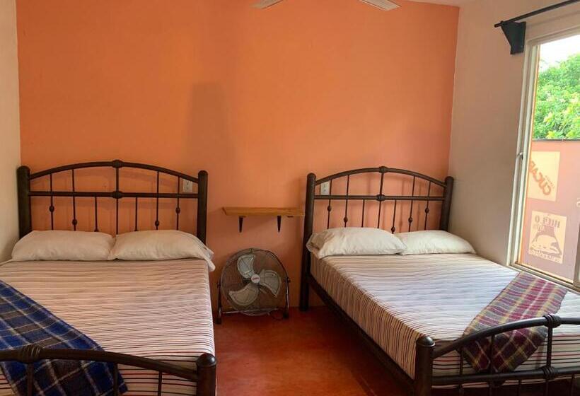 پانسیون Anamaya Hostal