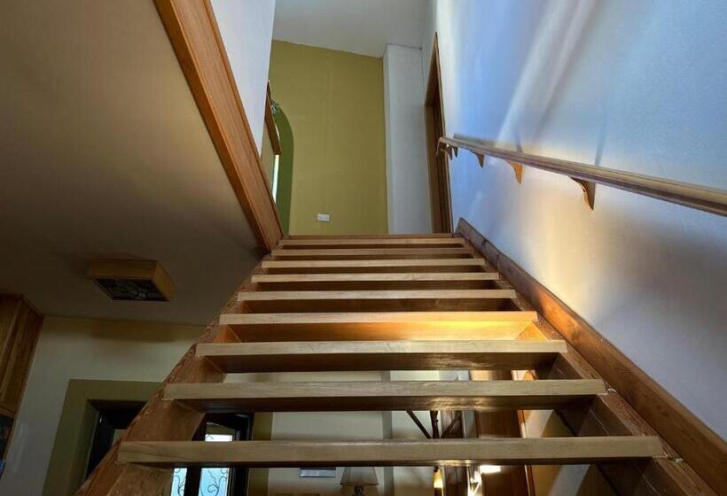 هاستل Villa Aleksandra