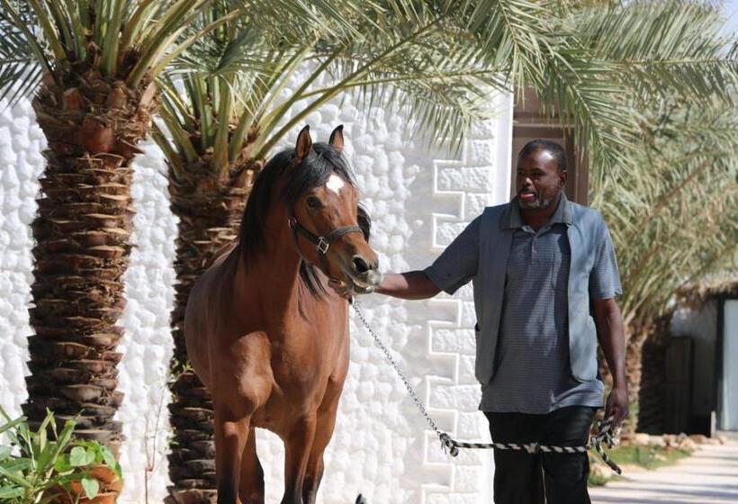 فندق واحة القدية القسم النجدي