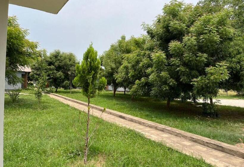 هتل The Pavonina