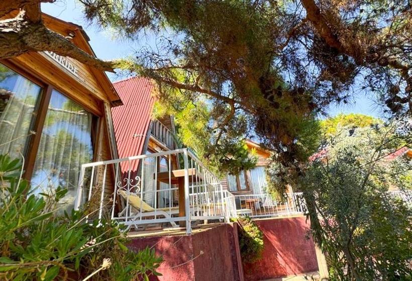 مبيت وإفطار Gaia Bungalow